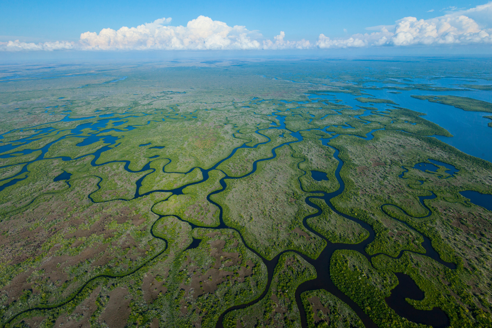 Everglades Exploration: 6-Day South Florida Road Trip | Explore Better