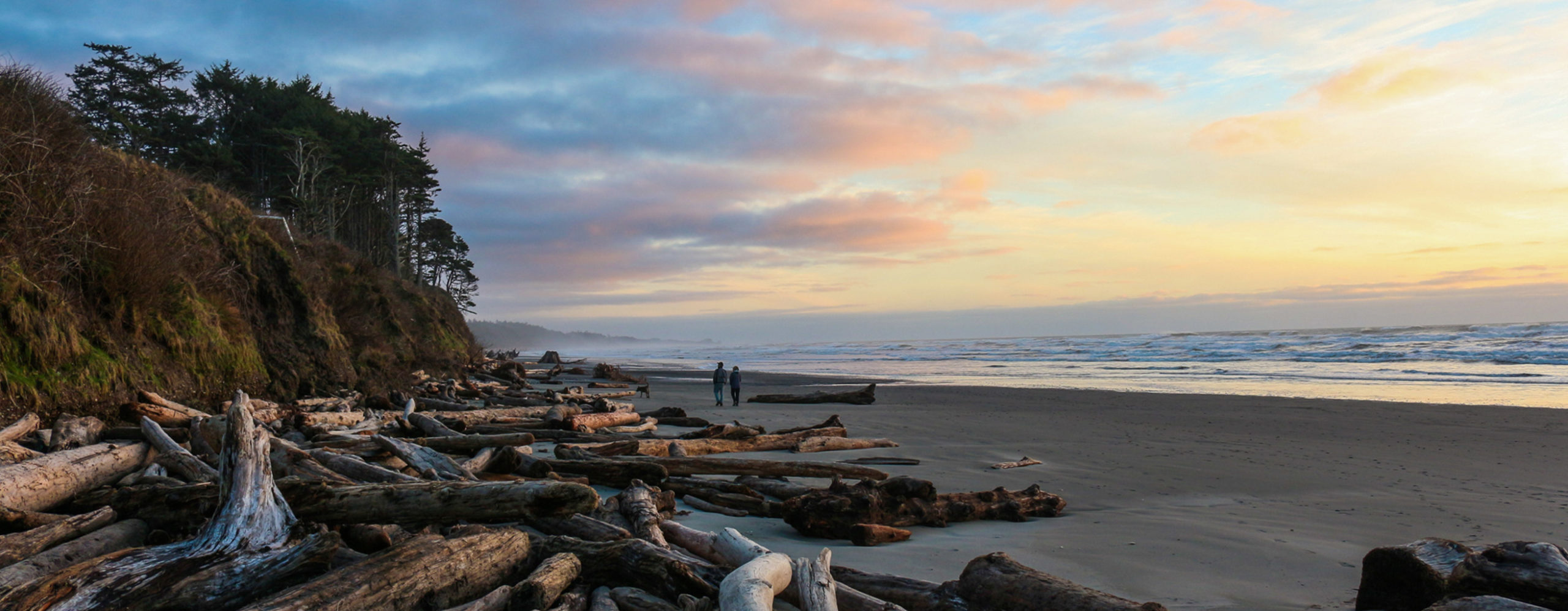 Olympic National Park | Activities & Lodging | Explore Better