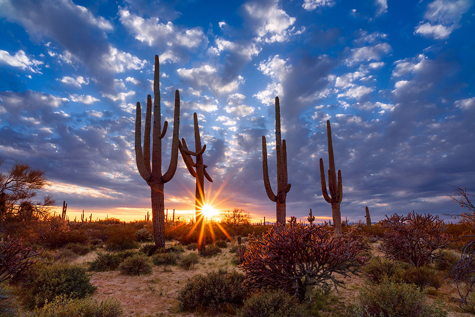 From Saguaro to Sin City: 3-Day Southwest Road Trip | Explore Better