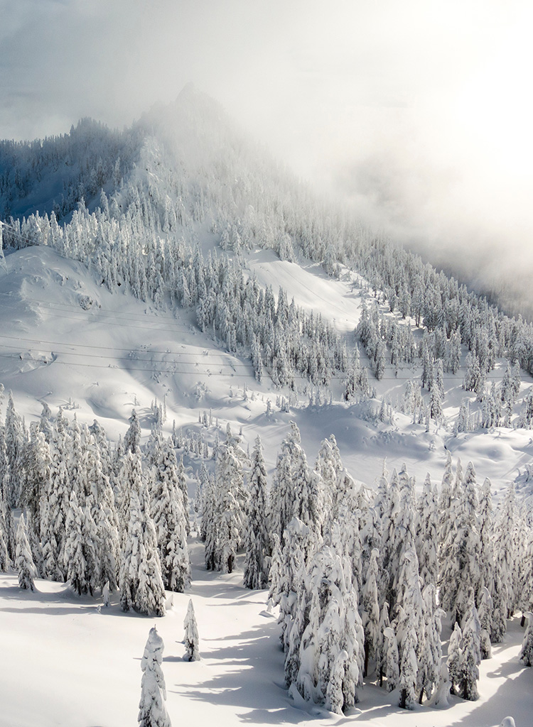 Olympic National Park | Activities & Lodging | Explore Better