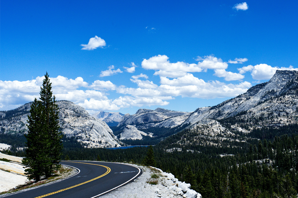 accessible path of travel california