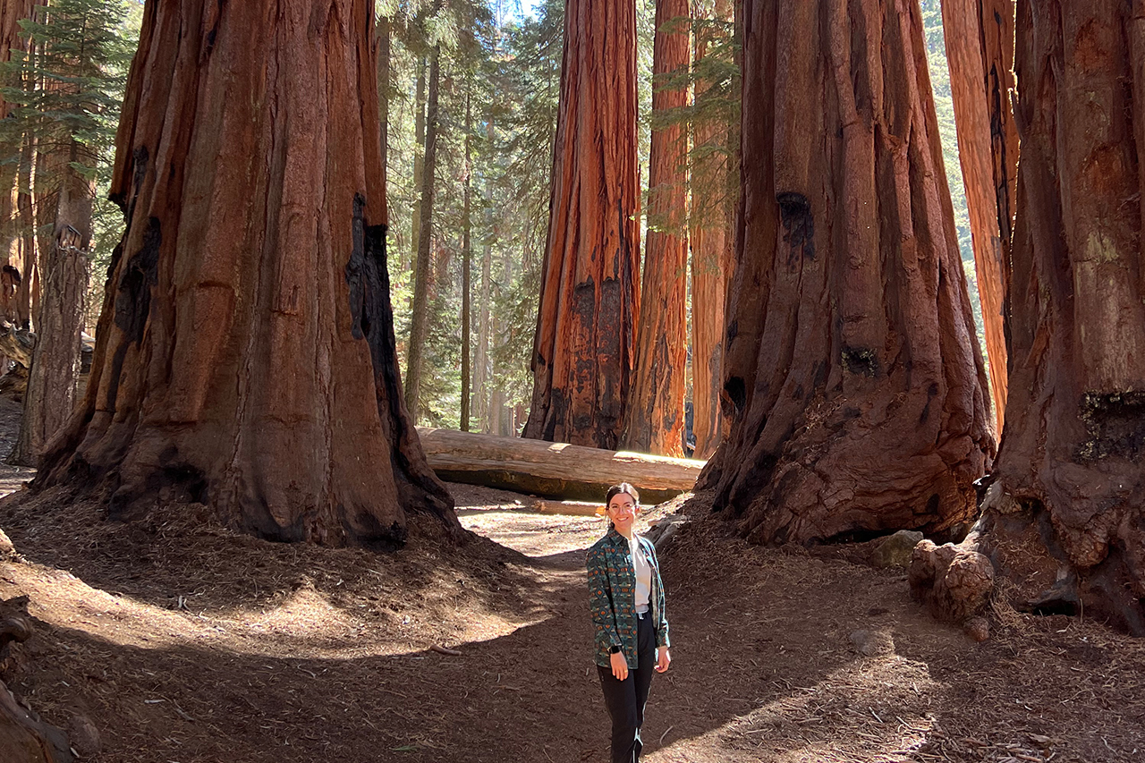 Explore Yosemite and Sequoia with the National Park Travelers